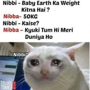 nibba nibbi memes kya hota hai